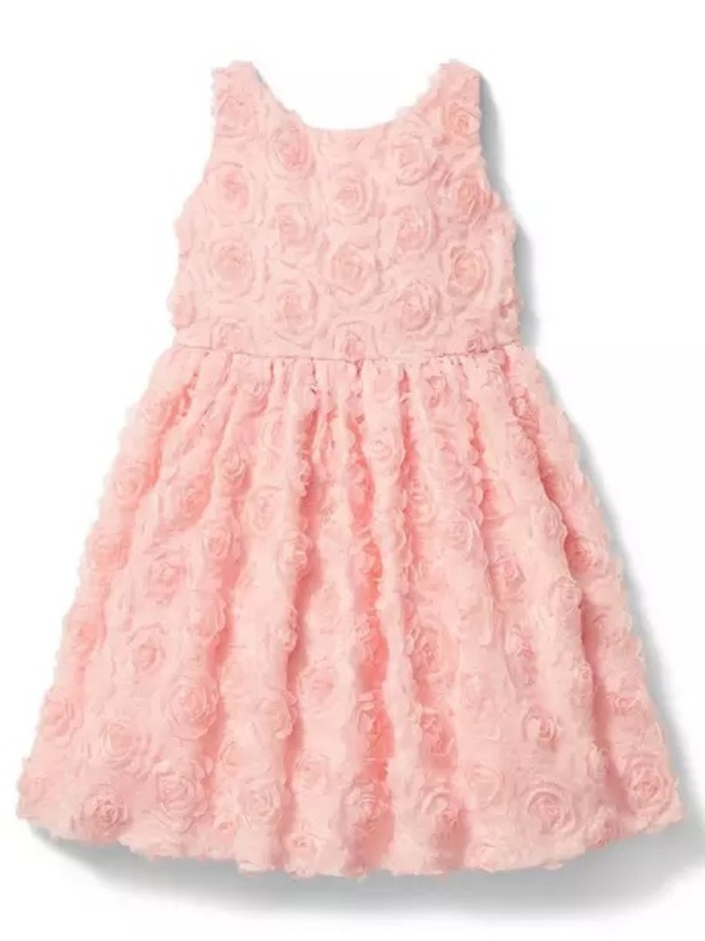 Juno Valentine by Janie and Jack Rose Dress & Matching Bloomers | 6-12 Months